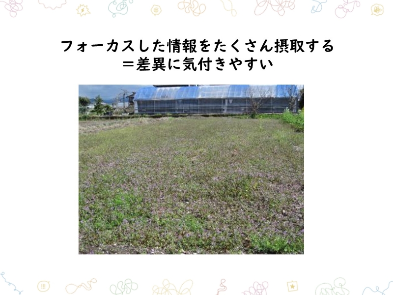 フォーカスした情報をたくさん摂取する=差異に気付きやすい